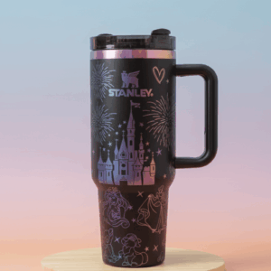 Disney Fantasy Stanley Tumbler