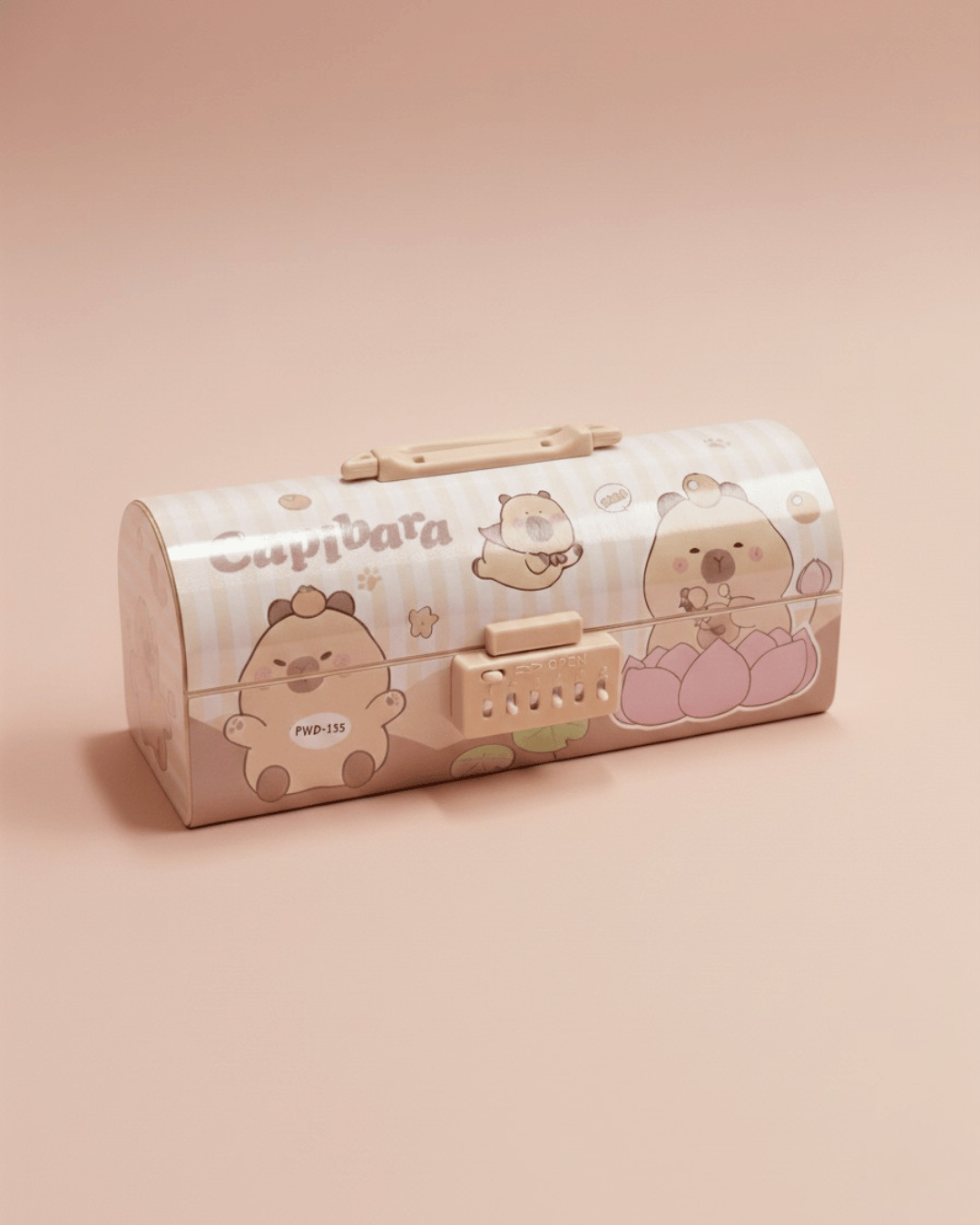 Cute Lock Box